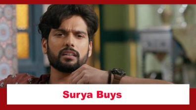 Imlie Spoiler: Surya buys Chaudhary mansion; gets into the good books of the family