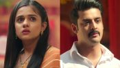 Mera Balam Thanedaar spoiler: Veer performs puja with Bulbul despite injury