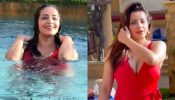 Monalisa Turns Pool Baby In Red Hot Monokini, Watch