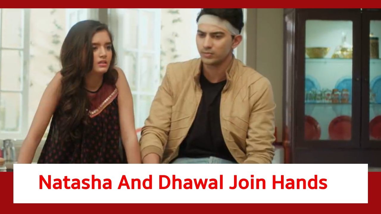 Pandya Store Spoiler: Dhawal and Natasha join hands for a mission