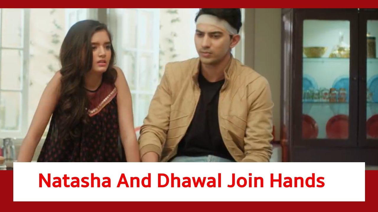 Pandya Store Spoiler: Dhawal and Natasha join hands for a mission 880808