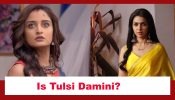 Pyar Ka Pehla Naam Radha Mohan Spoiler: Is Tulsi Damini with a new face?
