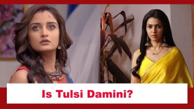 Pyar Ka Pehla Naam Radha Mohan Spoiler: Is Tulsi Damini with a new face?
