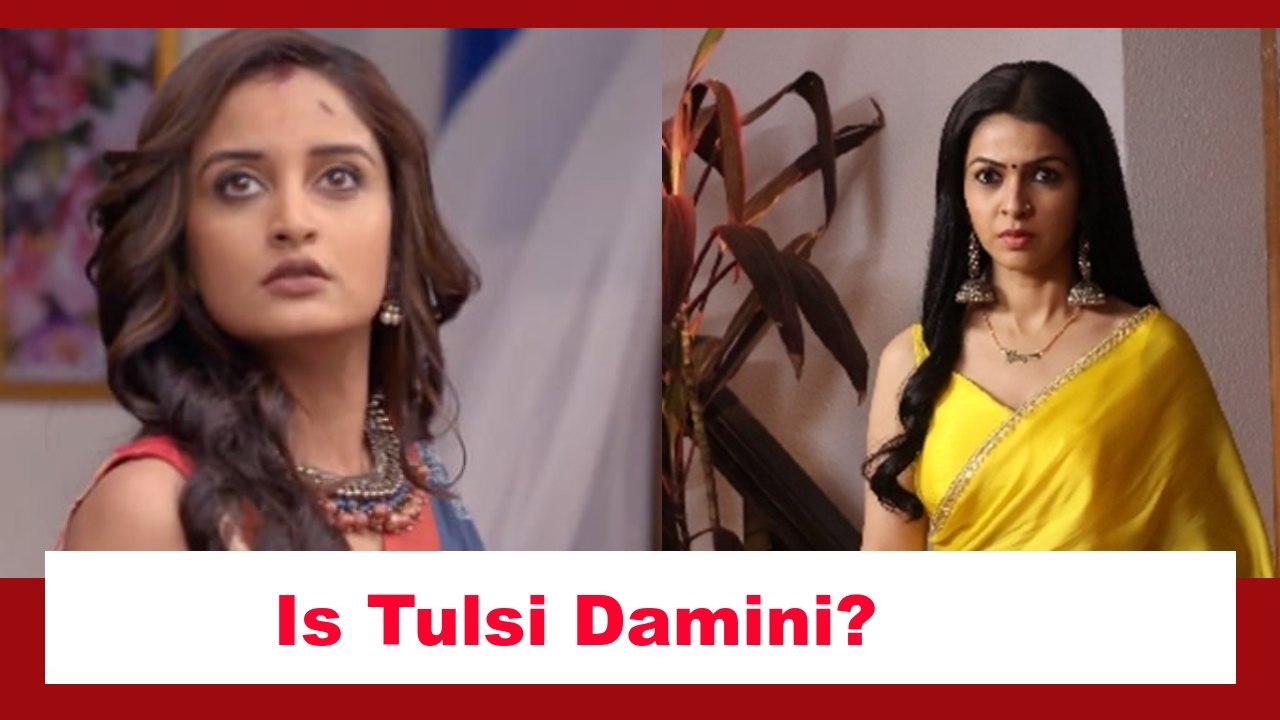 Pyar Ka Pehla Naam Radha Mohan Spoiler: Is Tulsi Damini with a new face? 883753