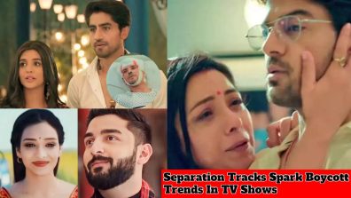 Separation Tracks Spark Boycott Trends In TV Shows