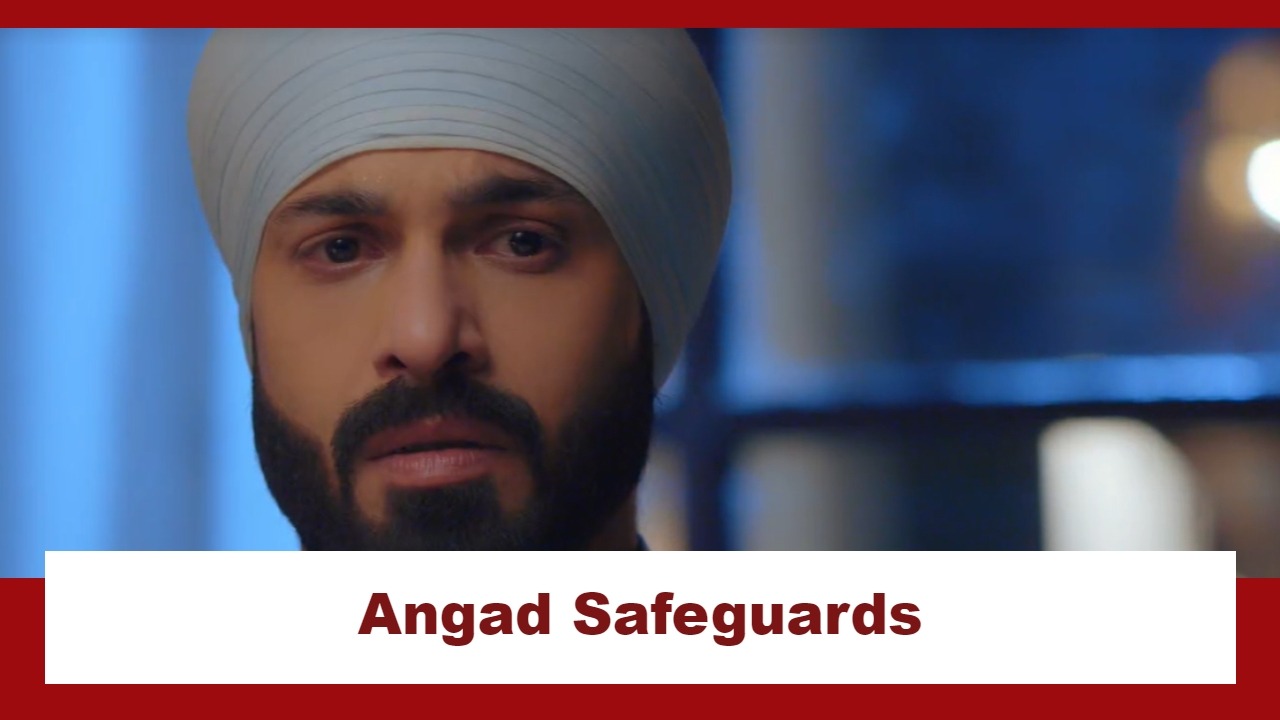 Teri Meri Doriyaann Spoiler: Angad safeguards Sahiba from trouble 883369