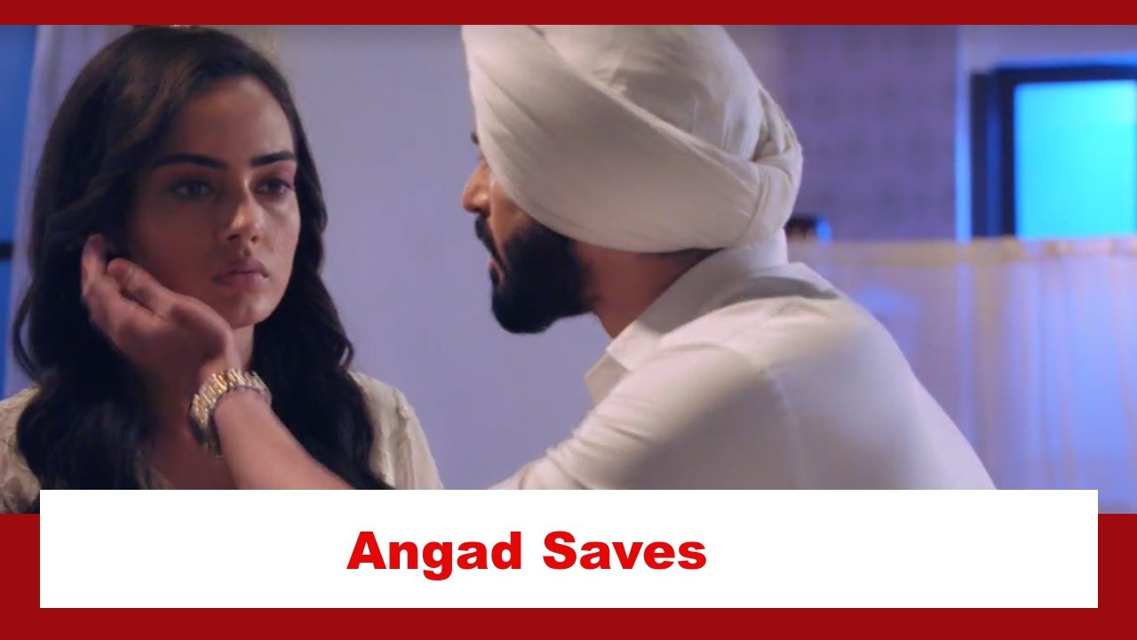 Teri Meri Doriyaann Spoiler: Angad saves Sahiba 882481