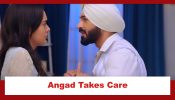 Teri Meri Doriyaann Spoiler: Angad takes care of Sahiba