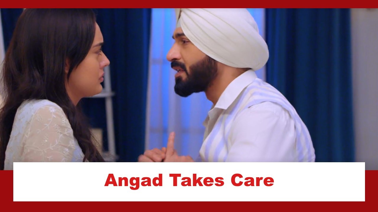 Teri Meri Doriyaann Spoiler: Angad takes care of Sahiba 883236