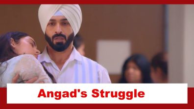 Teri Meri Doriyaann Spoiler: Angad’s struggle to bring Sahiba home