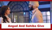 Teri Meri Doriyaann Spoiler: Sahiba and Angad to give their marriage another chance?