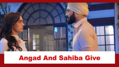 Teri Meri Doriyaann Spoiler: Sahiba and Angad to give their marriage another chance?