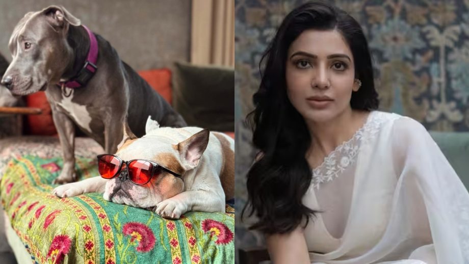 Who Are Samantha Ruth Prabhu's Weekend Partners? Find Out 881165