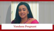 Baatein Kuch Ankahee Si Spoiler: Vandana gets pregnant 885443