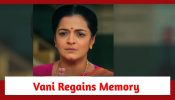 Baatein Kuch Ankahee Si Spoiler: Vani gets back her memory 886017