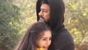 Dabangii Mulgii Aayi Re Aayi spoiler: Ankush returns to Arya’s life, saves her from goons 887931