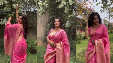 Ethereal Beauty: Monalisa Radiates Elegance In Timeless Pink And Gold Saree