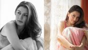 Ethnic Elegance: Hansika Motwani Captivates Our Hearts In A White And Pink Floral Printed Saree