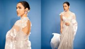 Ethnic Magic: Shriya Pilgaonkar’s Most Iconic Moments In A Silver And Grey Organza Saree 886719