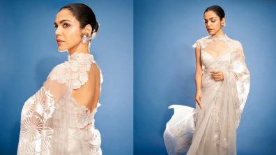 Ethnic Magic: Shriya Pilgaonkar’s Most Iconic Moments In A Silver And Grey Organza Saree
