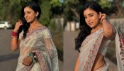 Graceful Fusion: Sumbul Touqeer Embodies Grace In A Silver And Pink Organza Saree, Check Now! 888446