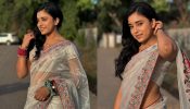 Graceful Fusion: Sumbul Touqeer Embodies Grace In A Silver And Pink Organza Saree, Check Now!