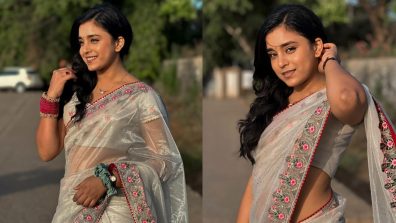 Graceful Fusion: Sumbul Touqeer Embodies Grace In A Silver And Pink Organza Saree, Check Now!