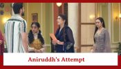 Jhanak Spoiler: Aniruddh’s attempt to keep Jhanak grounded