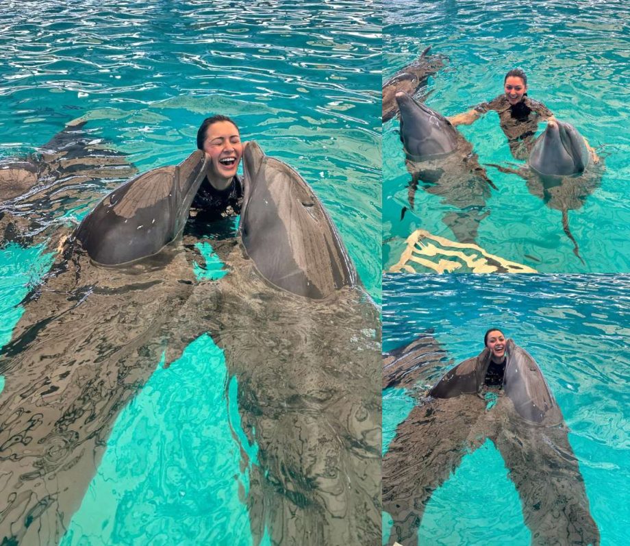 Magical Memories: Hansika Motwani's Enchanting Moments With Dolphins Revealed! 887766
