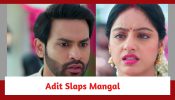 Mangal Lakshmi Spoiler: Adit humiliates Mangal in front of a huge gathering 888339