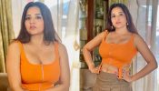 Monalisa Raises Hotness In Crop Top And Checkered Mini Skirt, See Photos
