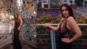Mrunal Thakur Exudes Majestic Charm In A Brown And Black Gown, Watch!