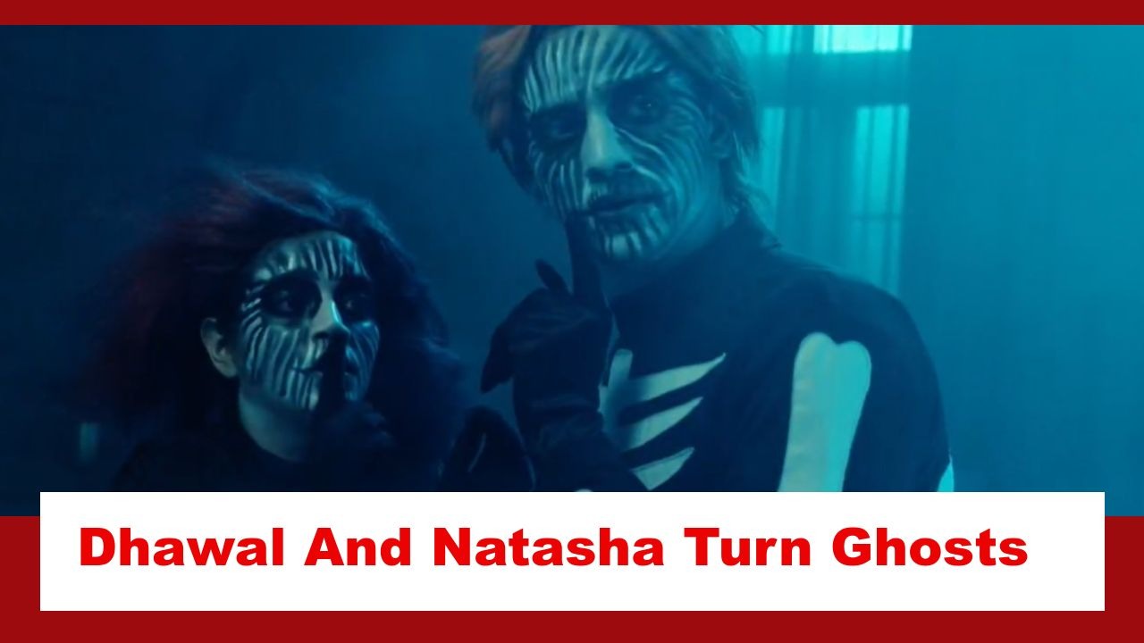 Pandya Store Spoiler: Dhawal and Natasha turn into ghosts to scare Chiku 886555