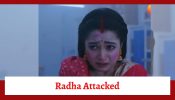 Pyar Ka Pehla Naam Radha Mohan Spoiler: Radha to be attacked by a lion at the Sanctuary?