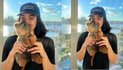Rashmika Mandanna Shares Cute Photo From Vacation, Fans Give Her New Tag