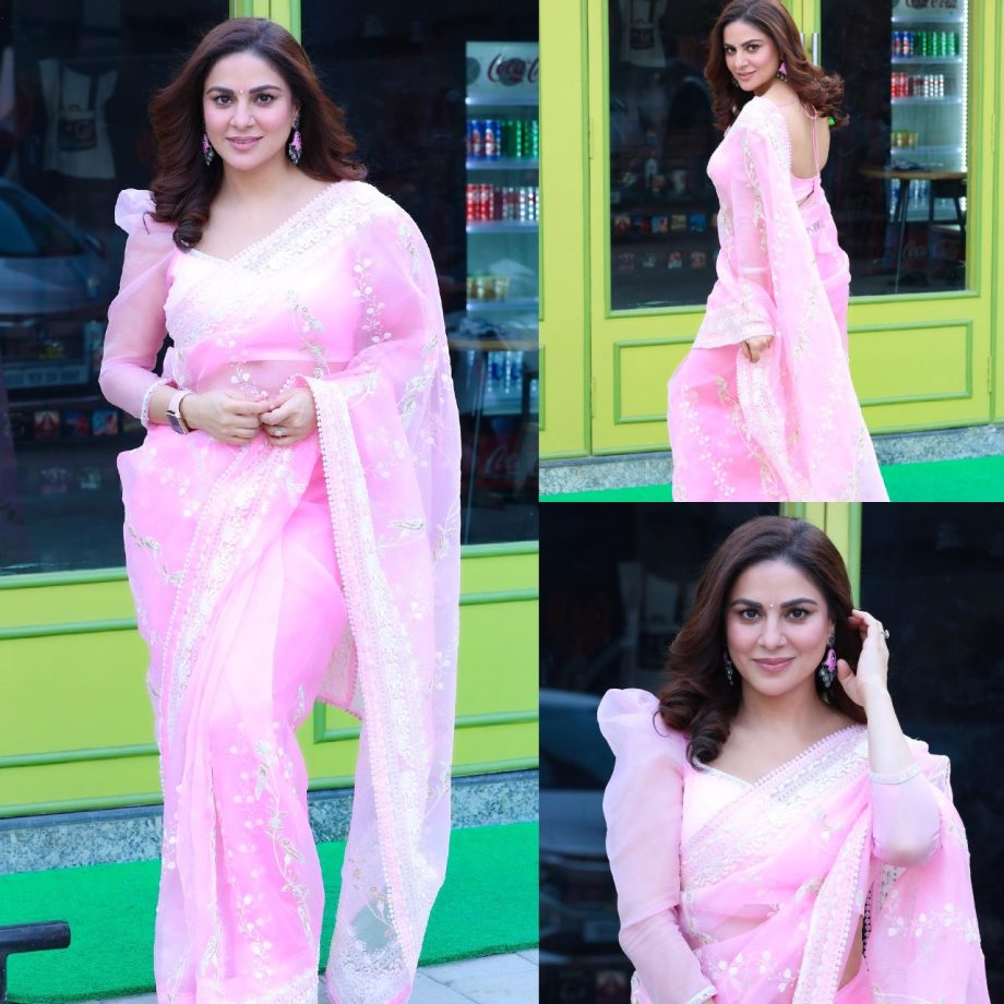 Shraddha Arya Radiates Grace In Soft Pink Floral Saree, See Photos 886997