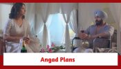 Teri Meri Doriyaann Spoiler: Angad plans to spike Seerat’s drink