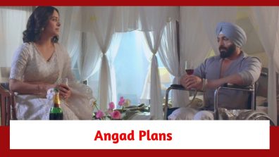 Teri Meri Doriyaann Spoiler: Angad plans to spike Seerat’s drink