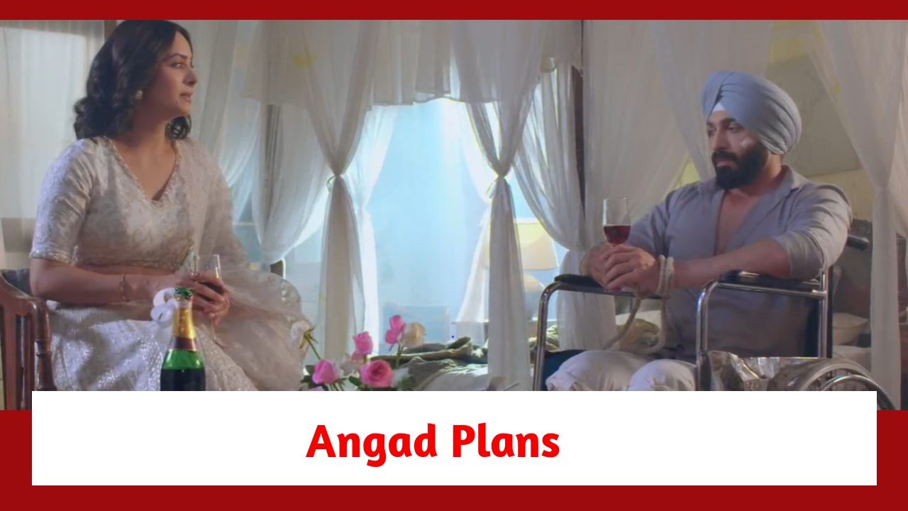 Teri Meri Doriyaann Spoiler: Angad plans to spike Seerat's drink 886400