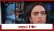 Teri Meri Doriyaann Spoiler: Angad tries his best to contact Sahiba