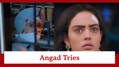 Teri Meri Doriyaann Spoiler: Angad tries his best to contact Sahiba