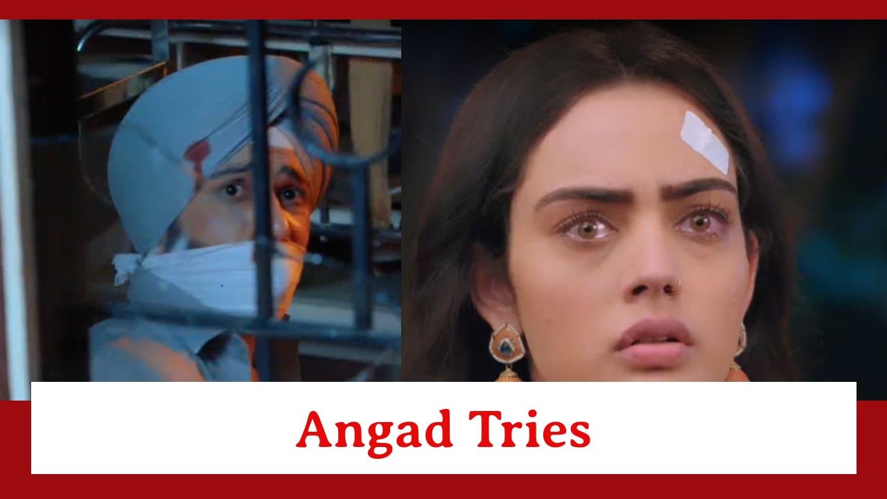 Teri Meri Doriyaann Spoiler: Angad tries his best to contact Sahiba 885675