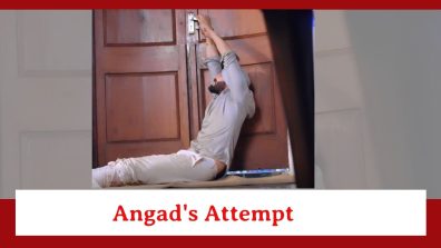 Teri Meri Doriyaann Spoiler: Angad’s attempt to escape