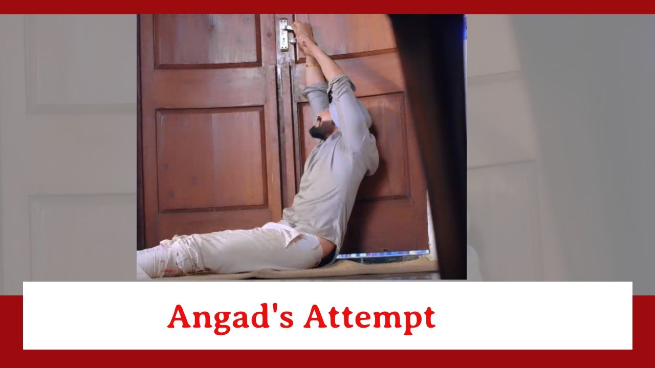Teri Meri Doriyaann Spoiler: Angad's attempt to escape 885254