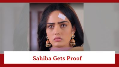Teri Meri Doriyaann Spoiler: Sahiba gets a proof