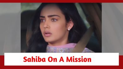 Teri Meri Doriyaann Spoiler: Sahiba on a mission