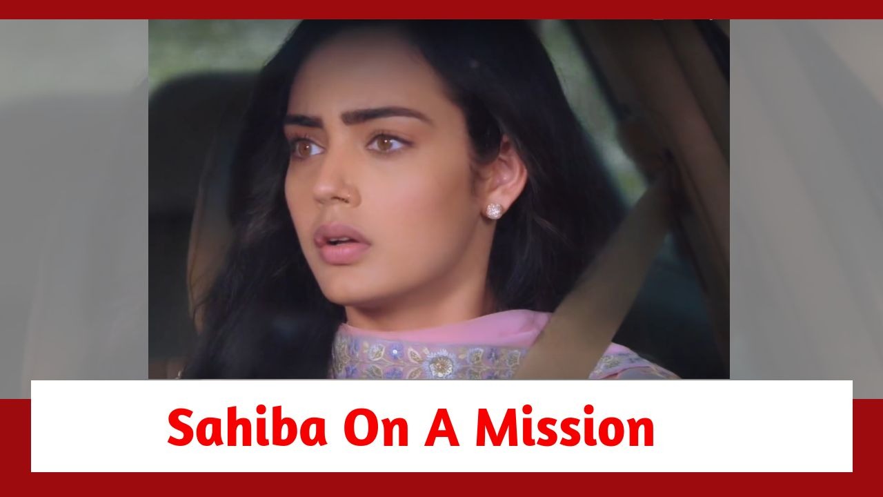 Teri Meri Doriyaann Spoiler: Sahiba on a mission 887308