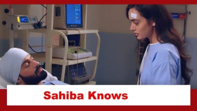 Teri Meri Doriyaann Spoiler: Sahiba receives news of her pregnancy