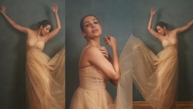 Timeless Beauty: Malaika Arora’s Look Defines Classic Glamour In A Nude Sheer Gown. Watch!