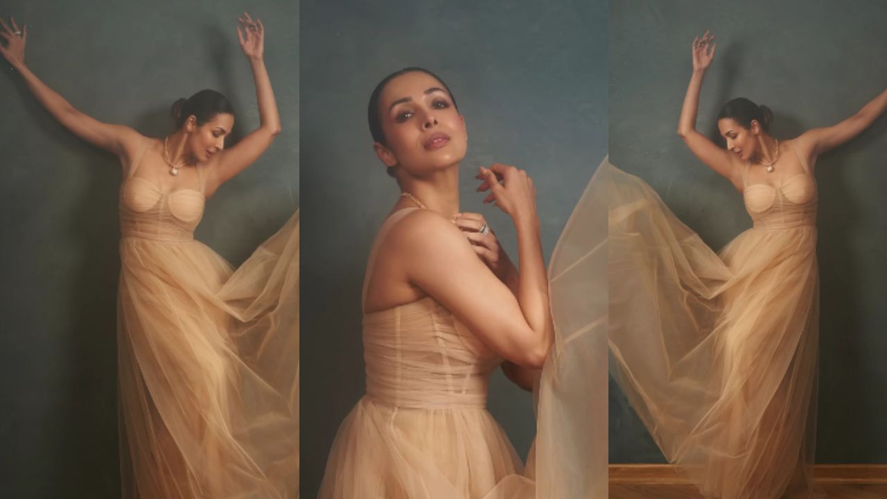 Timeless Beauty: Malaika Arora's Look Defines Classic Glamour In A Nude Sheer Gown. Watch! 887554